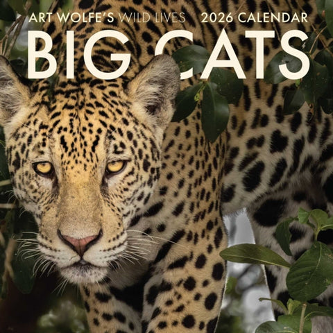 2026 Big Cats Wall Calendar
