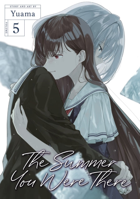 Book cover of: Summer You Were There Vol. 5