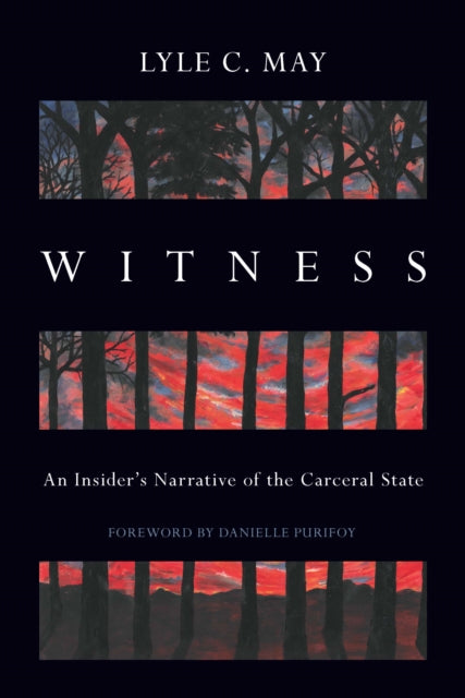 Book cover of: Witness. By: Lyle May