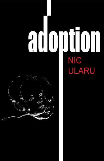 Book cover of: Adoption