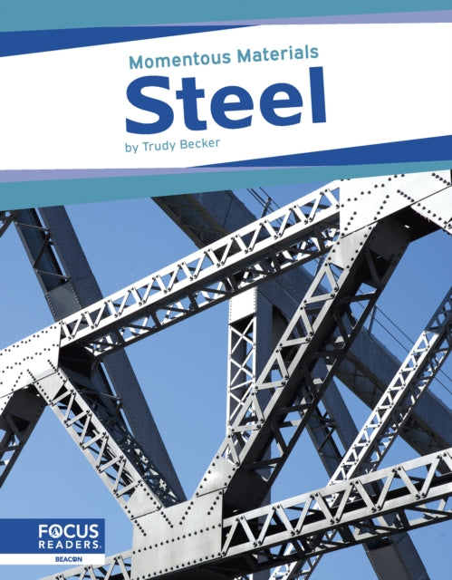 Book cover of: Steel