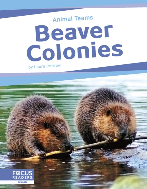 Book cover of: Beaver Colonies. By: Laura Perdew