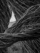 Book cover of: Patrick Dougherty | James Florio: Sticks. By: Patrick Dougherty