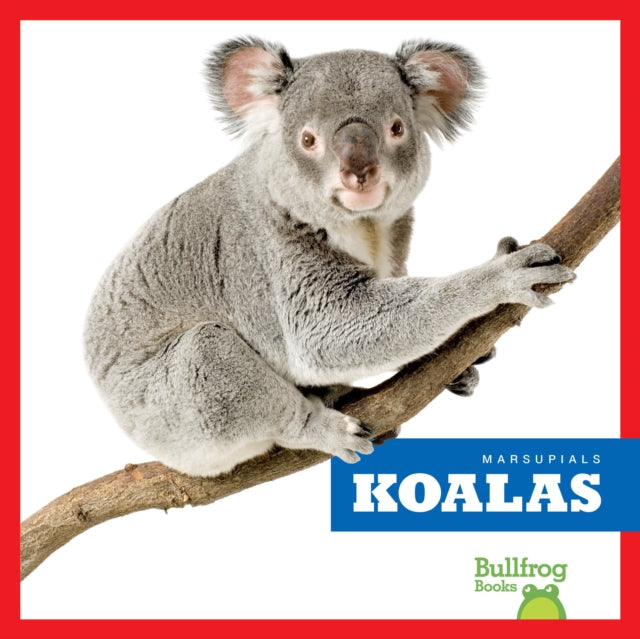 Book cover of: Koalas. By: Deniston