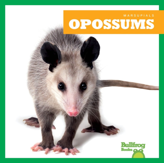 Book cover of: Opossums