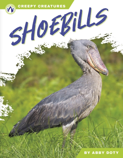 Book cover of: Shoebills. By: Abby Doty