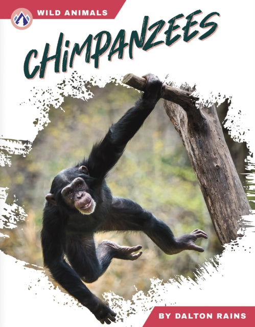 Book cover of: Chimpanzees. By: Dalton Rains