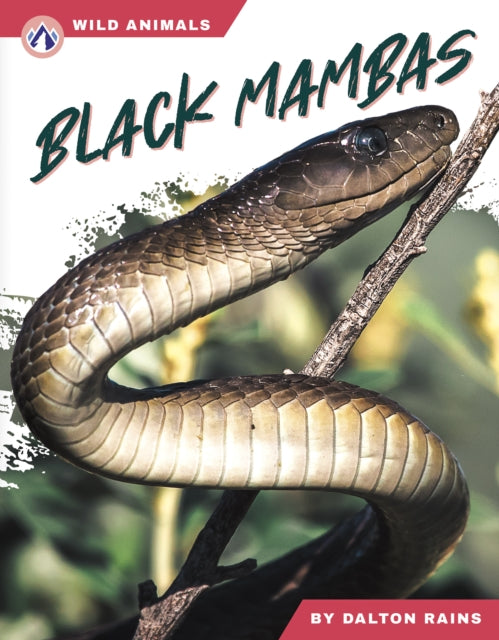 Book cover of: Black Mambas. By: Dalton Rains