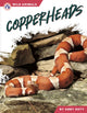 Book cover of: Copperheads