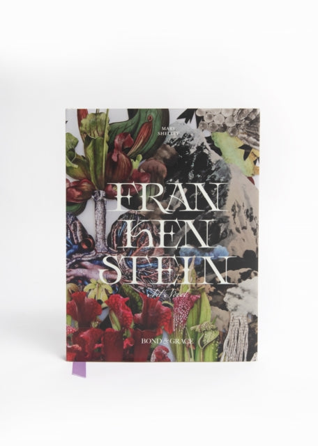 Book cover of: Frankenstein Art Novel. By: Bond & Grace Co LLC